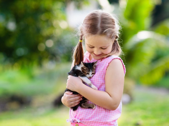 Mädchen streichelt Katze © shutterstock.com