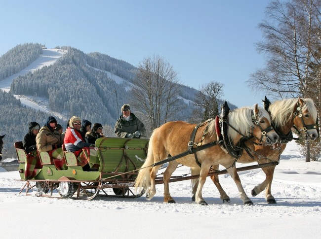 Pferdeschlitten fahren in Ramsau © Photo-Austria H. Simonlehner