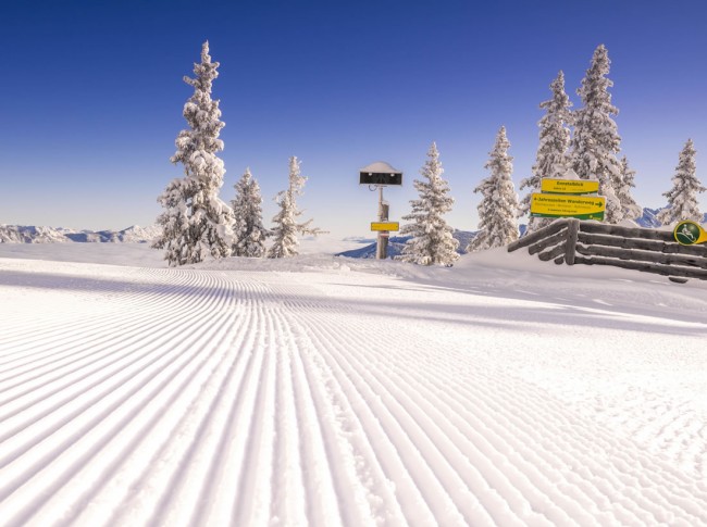 Panorama Hochwurzen © Schladming-Dachstein_Georg Knaus